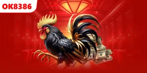 Đá Gà Thomo - Lý Giải Sức Hút Của Loại Hình Giải Trí Thú Vị